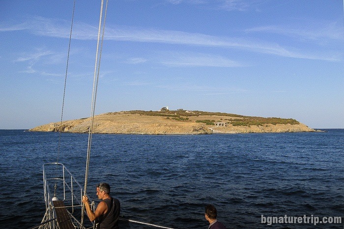 A boat trip to "St. Ivan" island