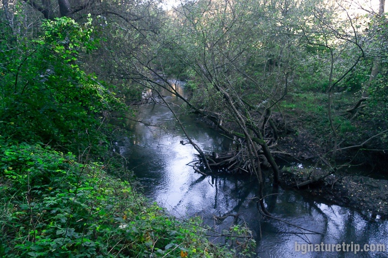 The Veleka River, which is difficult to see because of the dense forest on the banks