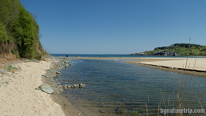 The Silistar River Mouth