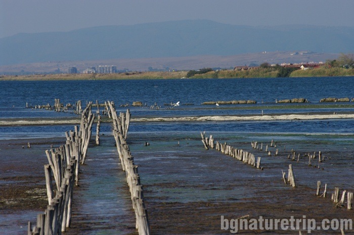 A look at the Pomorie Lake